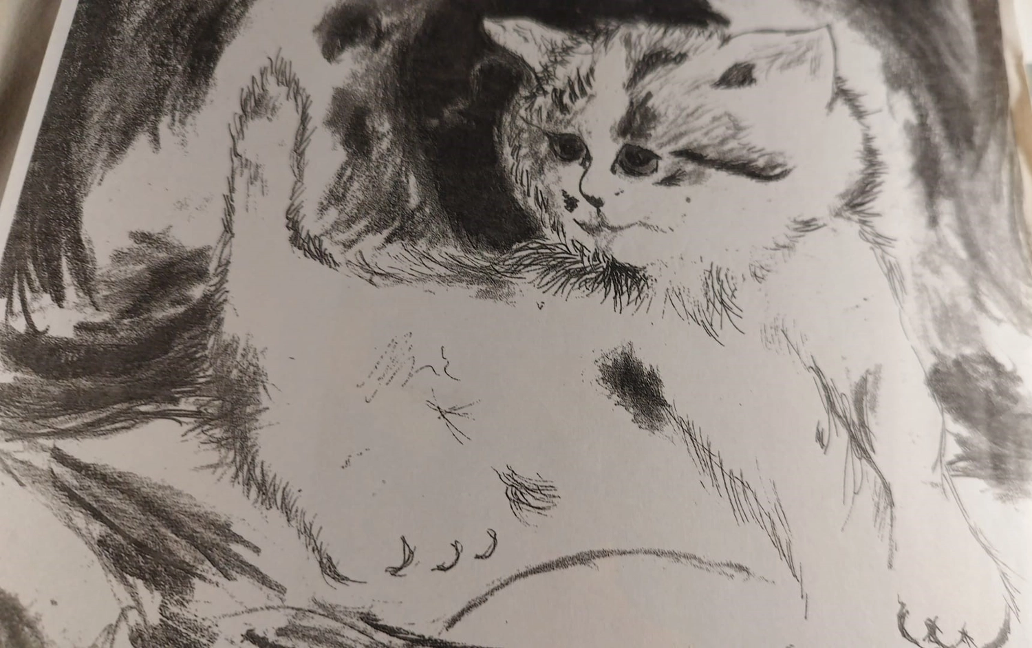 Johannes Dietrich und Petra Schubert — Künstler in Heideblick — Zeichnung