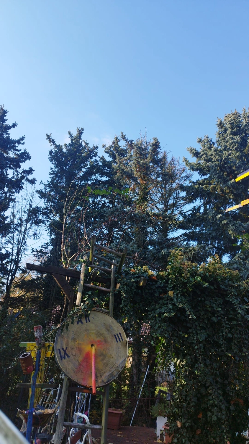 Johannes Dietrich und Petra Schubert — Künstler in Heideblick — Leuchtturm