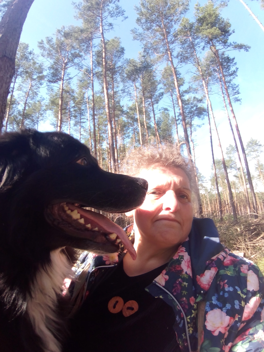 Petra Schubert — Künstler in Heideblick